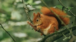 pexels-davidohboy-9542701(1)