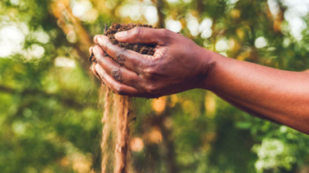 woman  holding a handful of soil