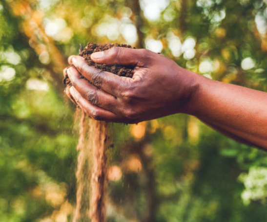 woman  holding a handful of soil