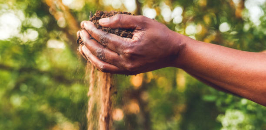 woman holding a handful of soil