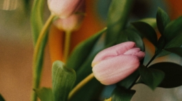 pexels-nida-kurt-5079840-11169975