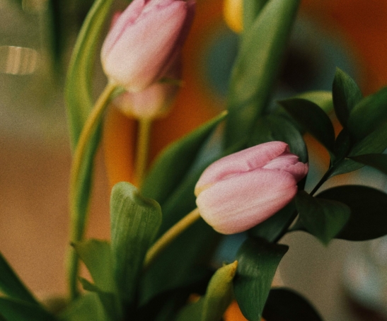 pexels-nida-kurt-5079840-11169975