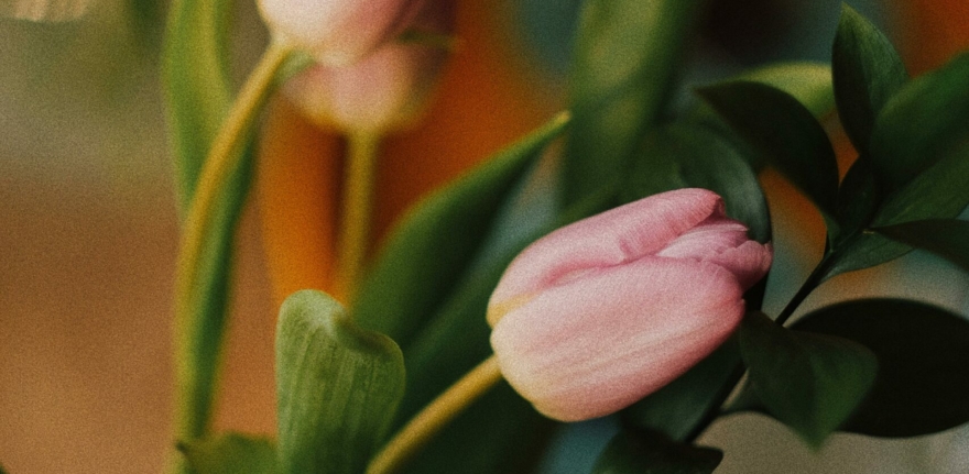 pexels-nida-kurt-5079840-11169975